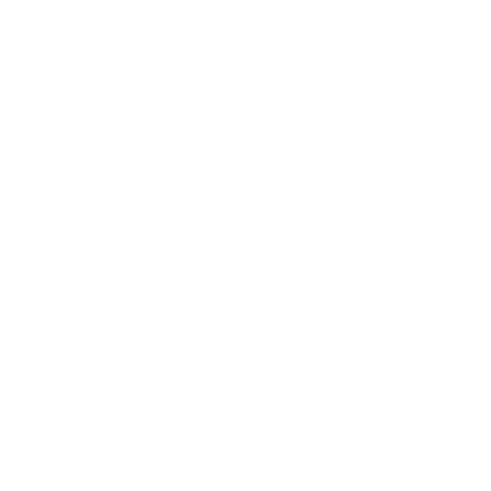 Dline Systems Logo
